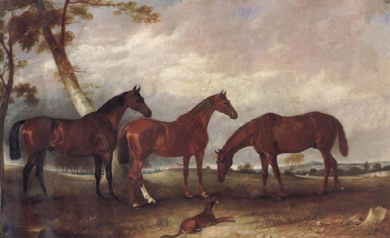 unknow artist Some Horses Sweden oil painting art